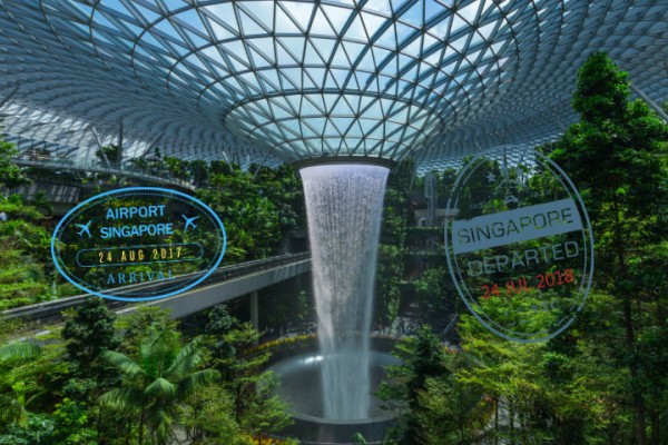 A Detailed Review of an Icon in Global Aviation at Singapore Changi Airport